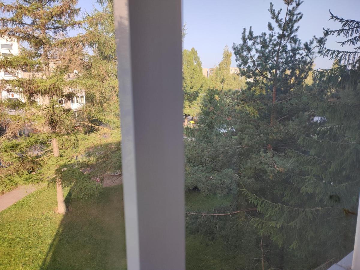 Shortstoppasilaiciai VNO Exteriör bild